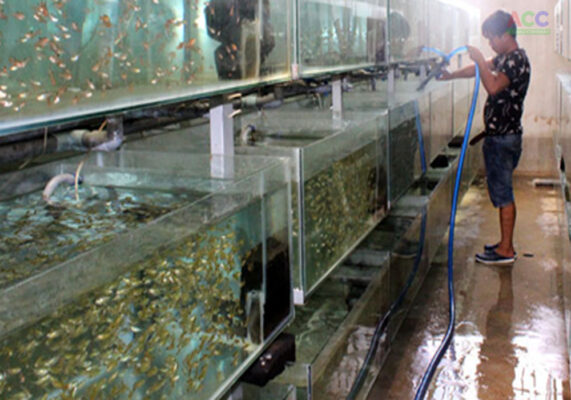 nong nghiep cong nghe cao globalgap phu quoc