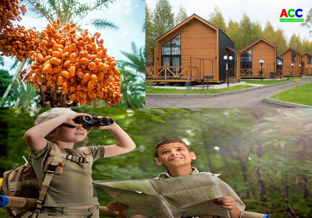 Dự án nông nghiệp trải nghiệm kết hợp du lịch sinh thái