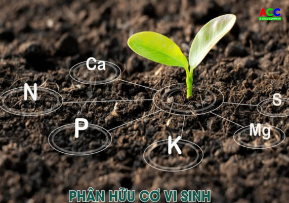Dự án phân hữu cơ vi sinh