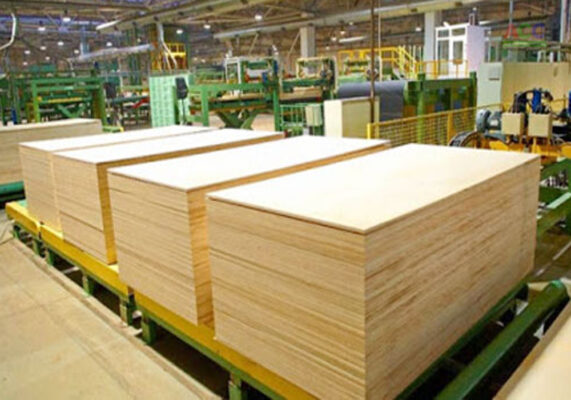 Dự án Nhà máy chế biến gỗ Quỳnh Vy