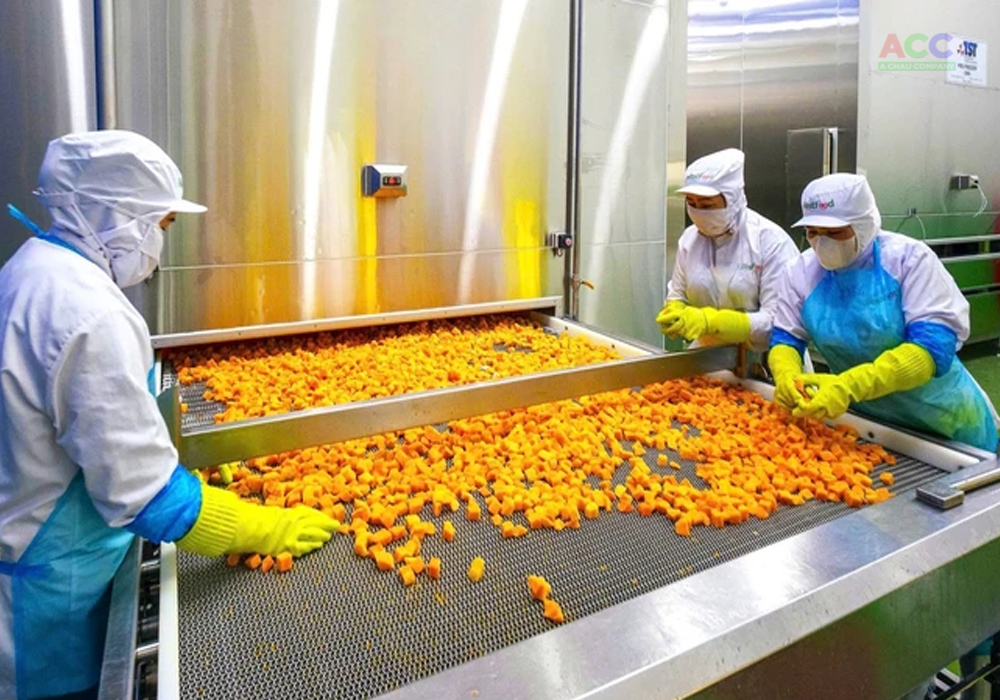 nhà máy chê biến nông sản trái cây