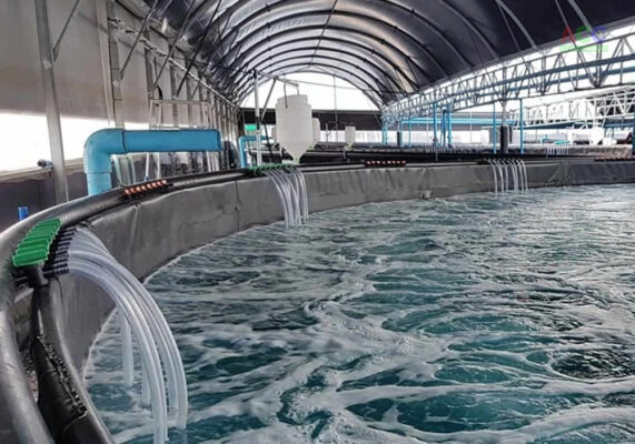 dự án trang trại nông nghiệp huy tuấn