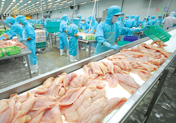 Dự án nhà máy chế biến thủy sản