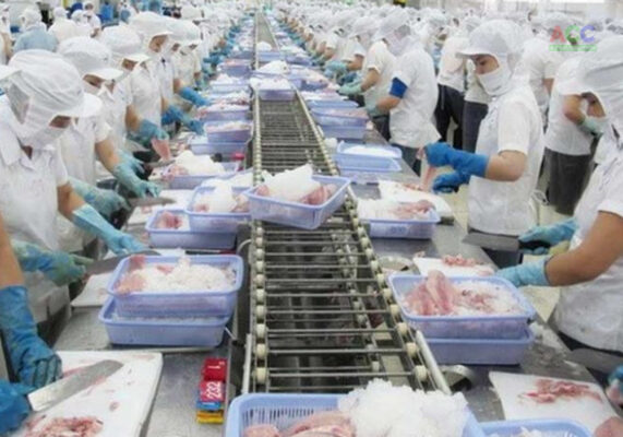 lập dự án nhà máy chế biến thuỷ sản