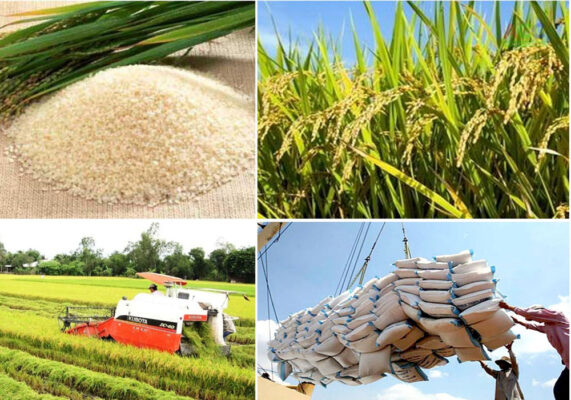 Dự án logistics